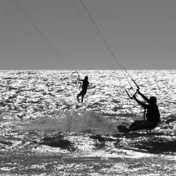 Silhouette of men kiteboarding