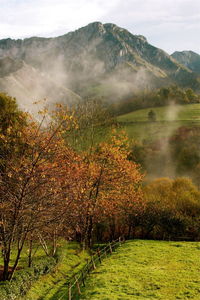 Scenic view of landscape