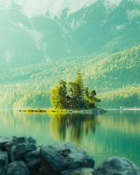 Scenic view of lake by trees