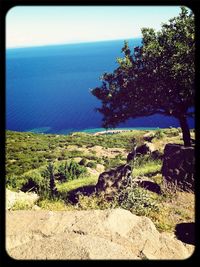 Scenic view of sea against clear sky