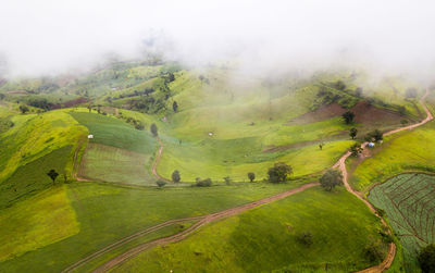 Scenic view of landscape