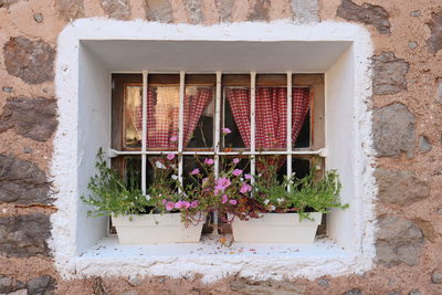 Potted plants on window sill of building