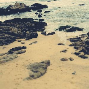 Scenic view of beach