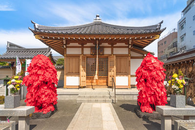 Red roses by building against sky