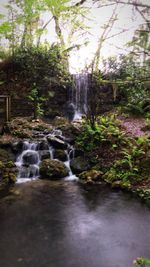 Scenic view of waterfall in forest