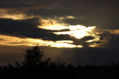 Low angle view of silhouette trees against sky at sunset