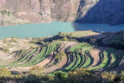 High angle view of agricultural field