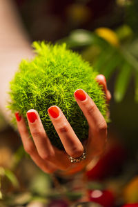 Close-up of hand holding leaves