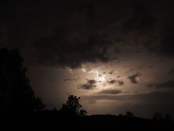 Low angle view of silhouette trees against sky at night