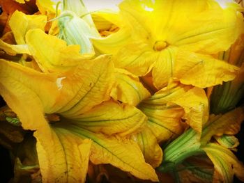 Full frame shot of yellow lilies