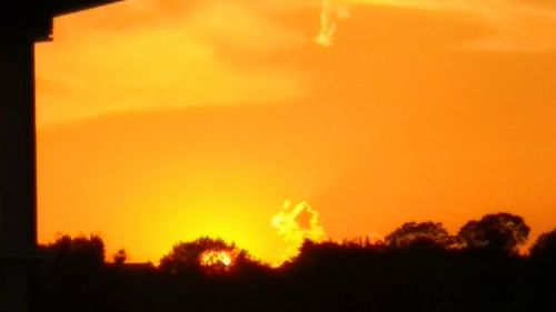 Silhouette trees against orange sky