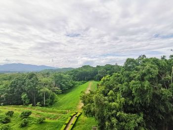 Scenic view of trees on field against sky