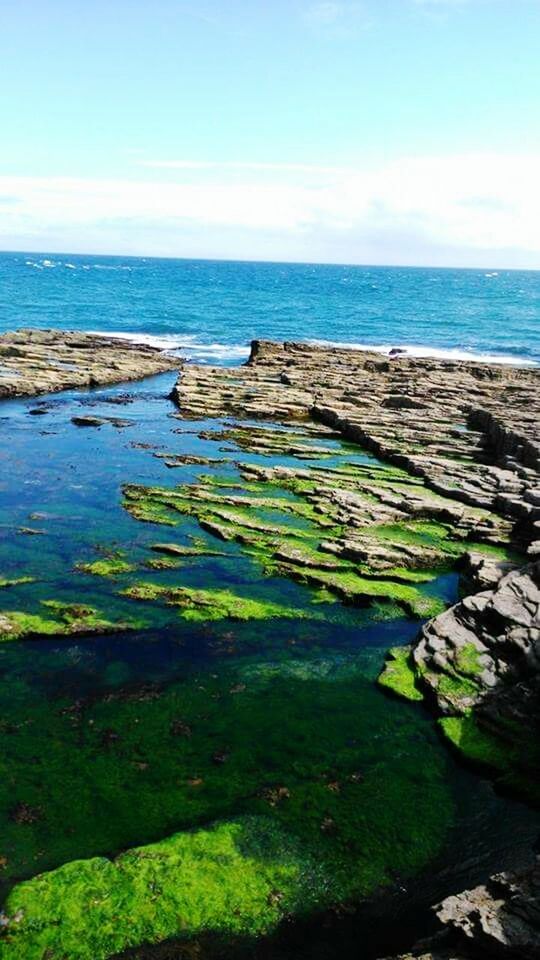 Hook Head, Co. Wexford