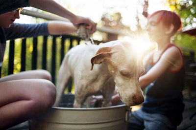 Siblings cleaning dog in washtub on porch