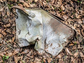 Close-up of weathered wall