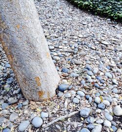 Surface level of pebbles