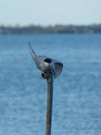 Bird perching on pole against sky