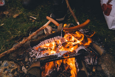 Cozy fireplace with hotdogs