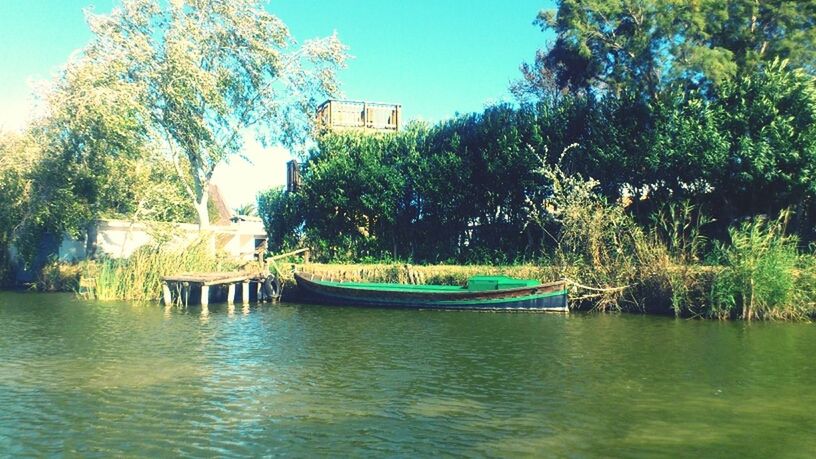 tree, water, waterfront, built structure, architecture, building exterior, clear sky, blue, lake, tranquility, tranquil scene, nature, growth, reflection, river, scenics, sunlight, beauty in nature, day, green color