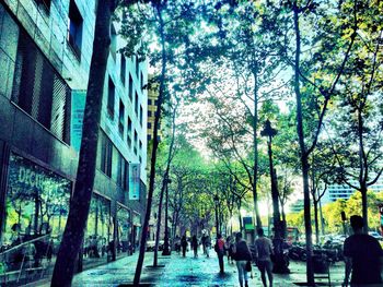People walking in park