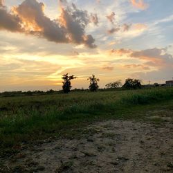 Scenic view of field against sky during sunset