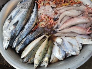 High angle view of fish for sale in market