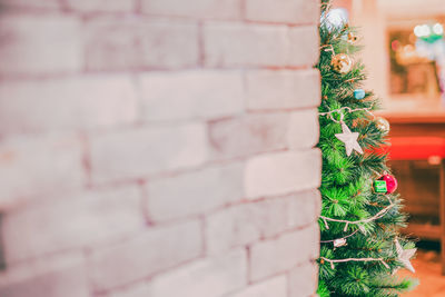 Close-up of christmas tree against wall