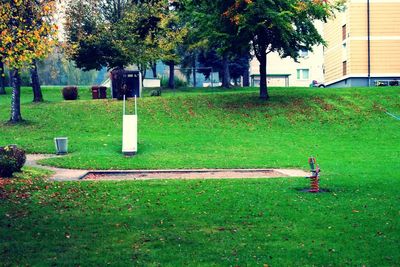 Swing in park