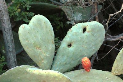 Close-up of rocks in water