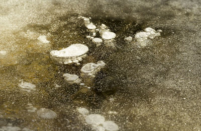 High angle view of snow on land