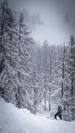 Scenic view of snow covered landscape against sky