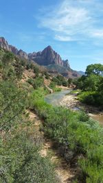 Scenic view of desert against sky
