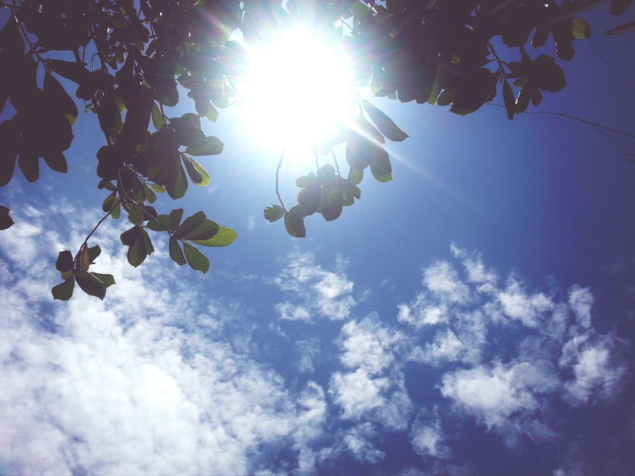 sun, low angle view, sunbeam, sunlight, sky, lens flare, bright, tree, sunny, cloud - sky, beauty in nature, tranquility, nature, day, blue, cloud, brightly lit, outdoors, silhouette, scenics