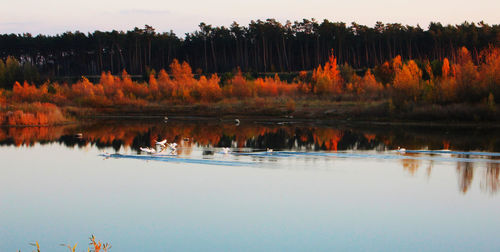 Reflection of trees in lake against sky during autumn
