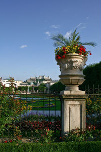 Plants growing on landscape