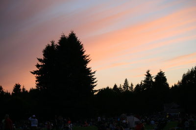 Scenic view of trees against sky at sunset