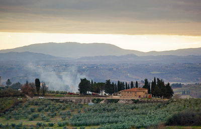 Tuscany hills rural countryside landscape, cypress passages and vineyards. wheat, olives cultivation