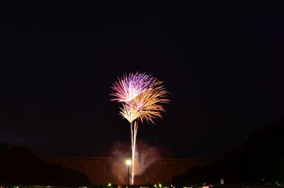 Low angle view of firework display against sky at night