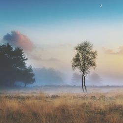 Scenic view of field against cloudy sky