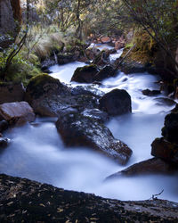 nature