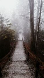 Scenic view of snow covered landscape in foggy weather