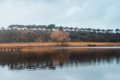 Scenic view of lake against sky