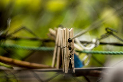 Close-up of clothespins on wood
