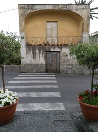 Potted plants on footpath by building