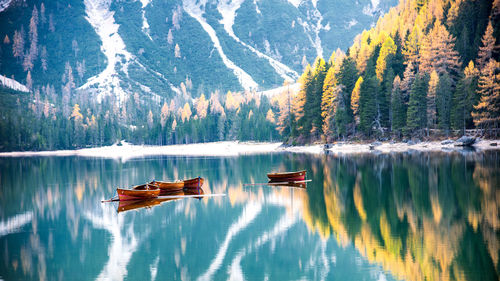 Scenic view of lake in forest