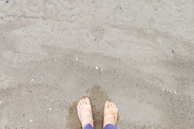 Low section of person standing on beach