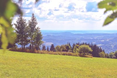 Scenic view of field against sky