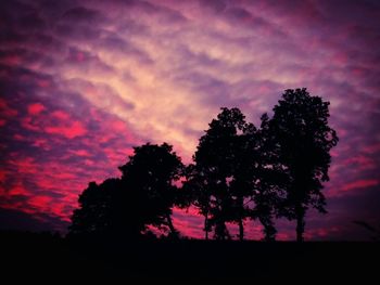 Silhouette of trees at sunset