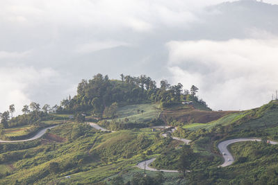 Scenic view of road amidst trees against sky