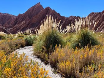 Scenic view of mountains against clear sky at atacama desert 
